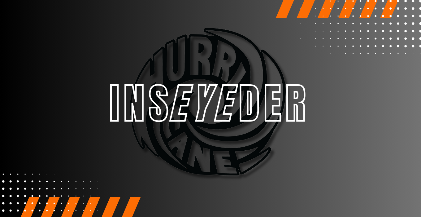 inseyeder - newsletter header and link to newsletter